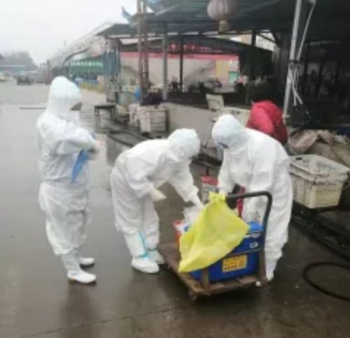 開封宏進農副產品國際物流中心 穩市場 促民生 保供應