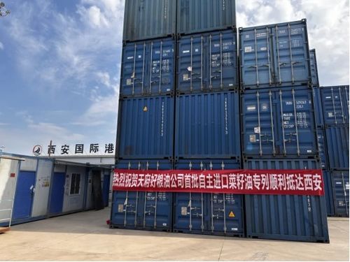 2024年天府好糧油公司 多元驅(qū)動(dòng),多維布局,引領(lǐng)糧油產(chǎn)業(yè)新航向