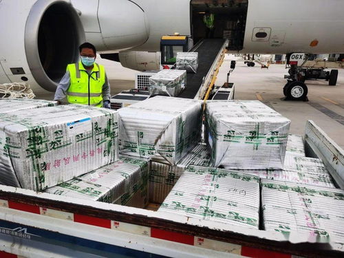 烏魯木齊國(guó)際機(jī)場(chǎng)國(guó)際貨運(yùn)業(yè)務(wù)全面恢復(fù)運(yùn)營(yíng)