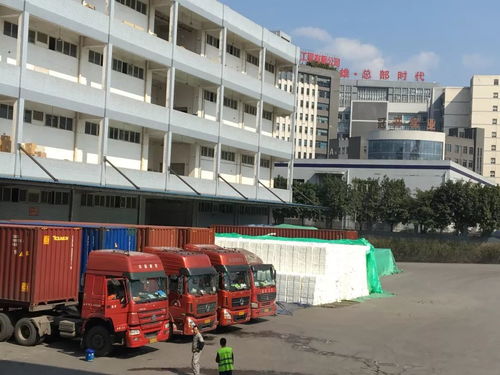 力天國際物流給您拜年啦 感謝社會各界領(lǐng)導(dǎo) 客戶及朋友們的厚愛與支持,堅(jiān)持物流產(chǎn)品經(jīng)營理念繼續(xù)前行